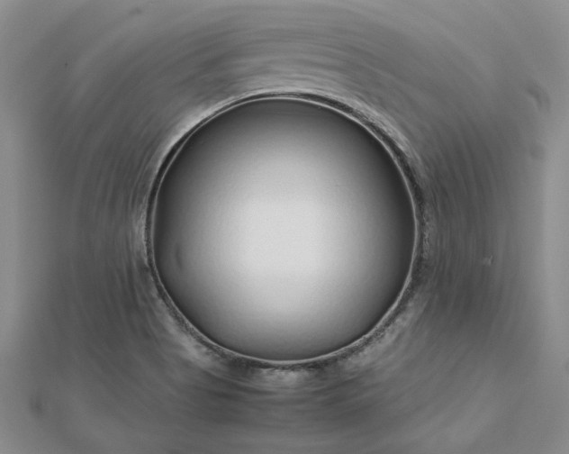 X0000112751513200909031516