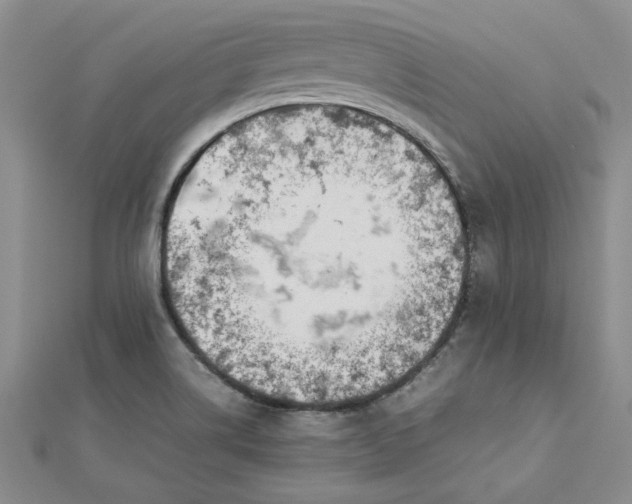 X0000112751514200909031516