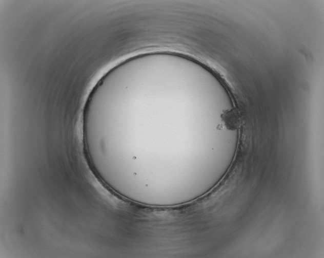 X0000112751516200909031516