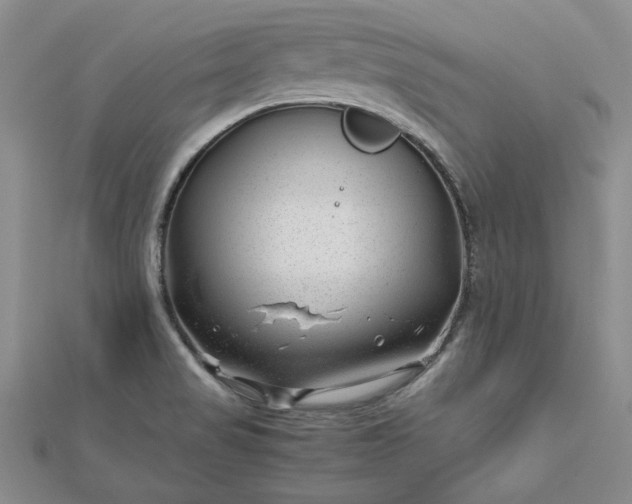 X0000112751517200909031516