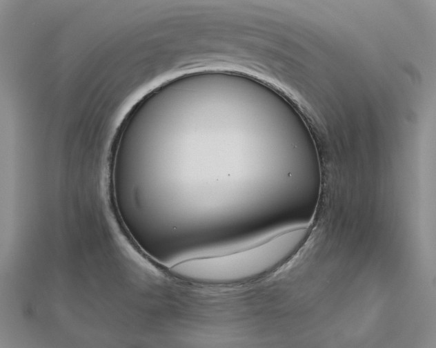 X0000112751518200909031516