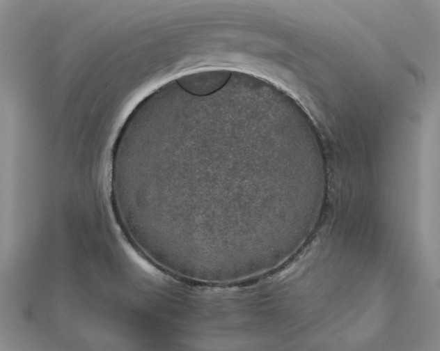 X0000112751519200909031516