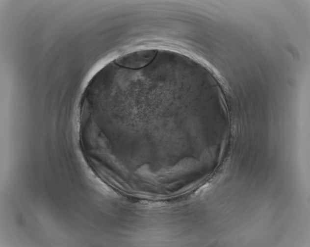 X0000112751522200909031516