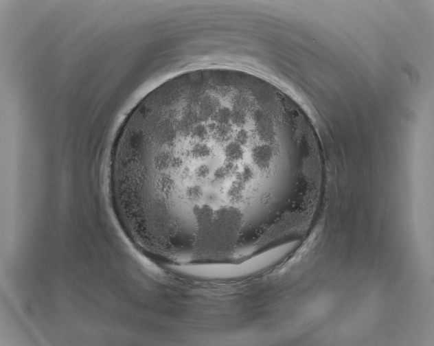 X0000112751525200909031516