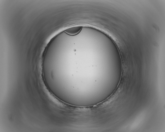 X0000112751526200909031516