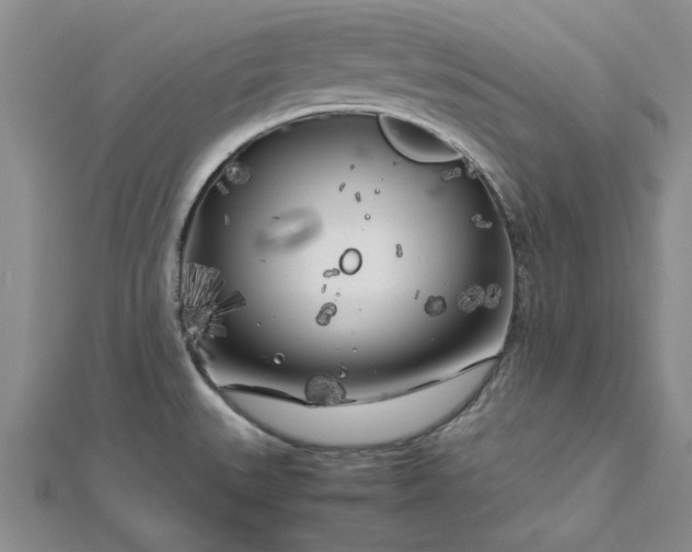 X0000112751527200909031516