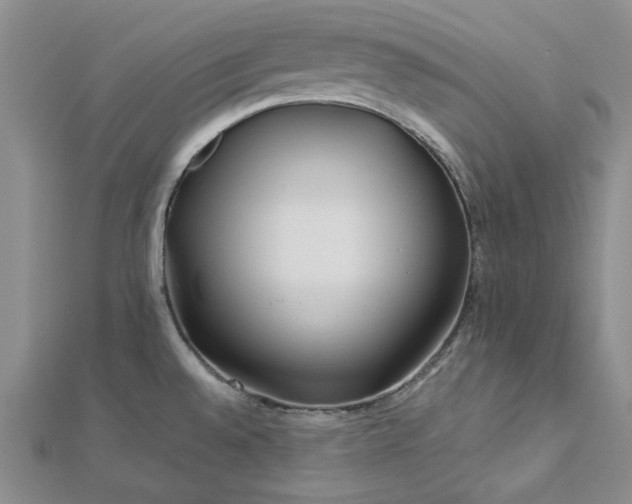 X0000112751528200909031516