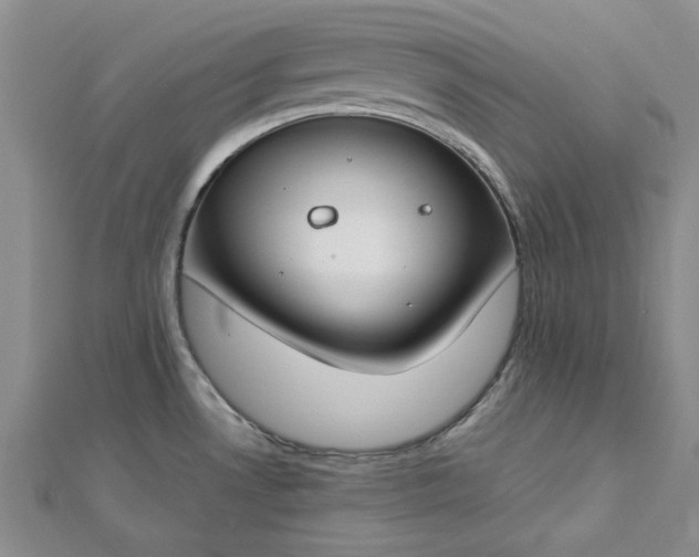 X0000112751530200909031516