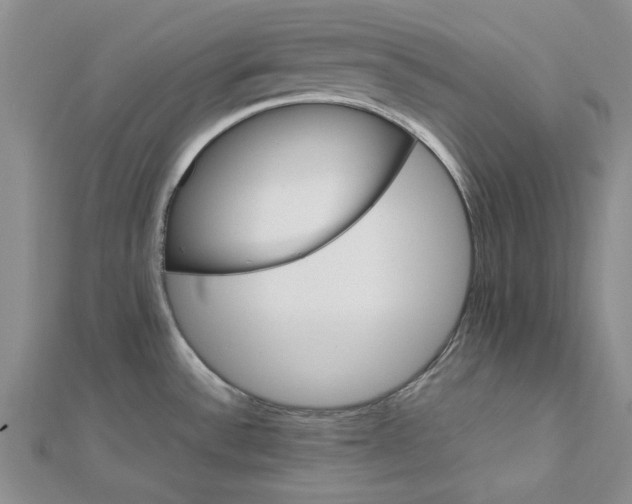 X0000112751532200909031516