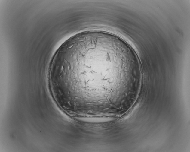 X0000112751533200909031516