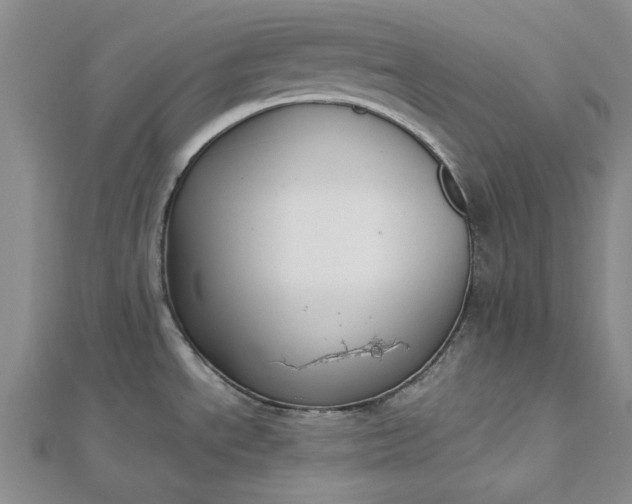 X0000112751534200909031516