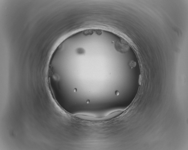 X0000112751536200909031516