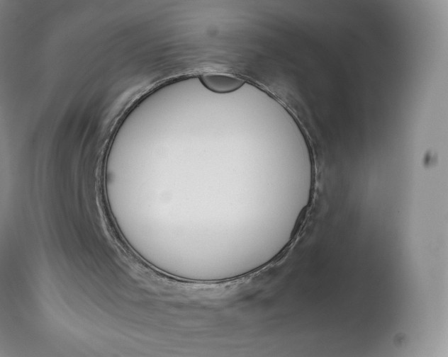 X0000112750001200909101551