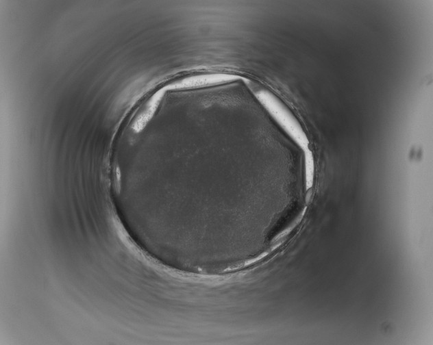 X0000112750002200909101551