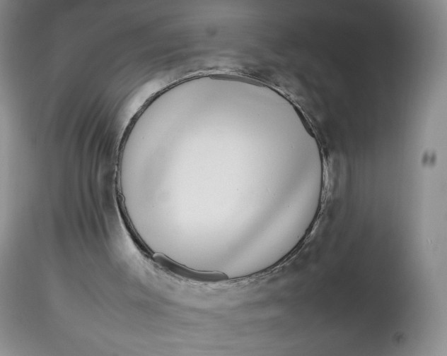 X0000112750003200909101551