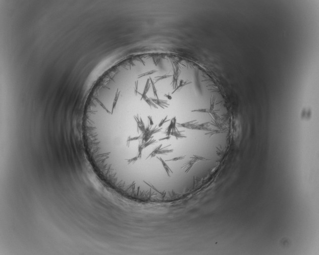 X0000112750004200909101551