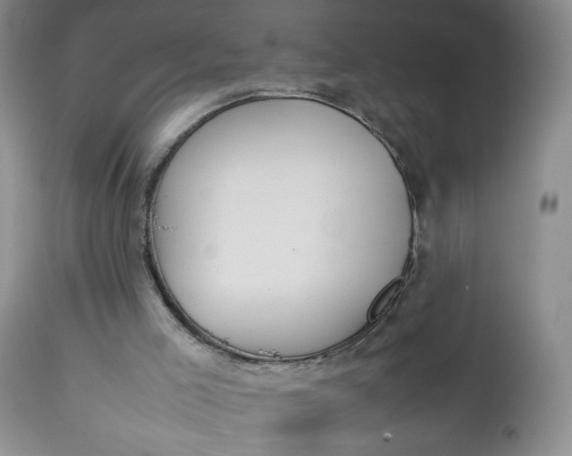 X0000112750005200909101551