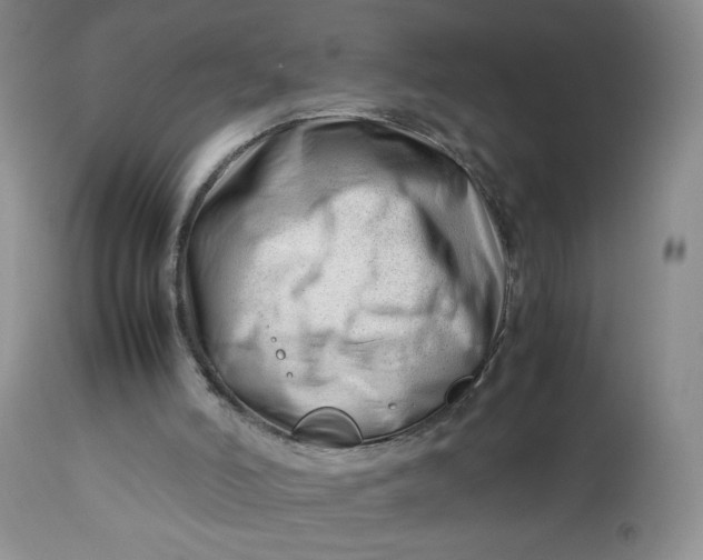 X0000112750006200909101551