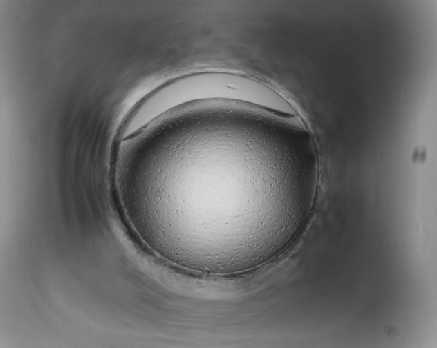 X0000112750008200909101551