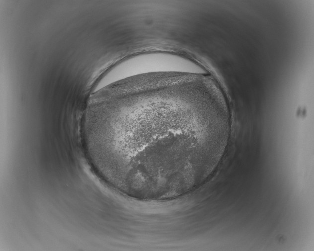 X0000112750010200909101551