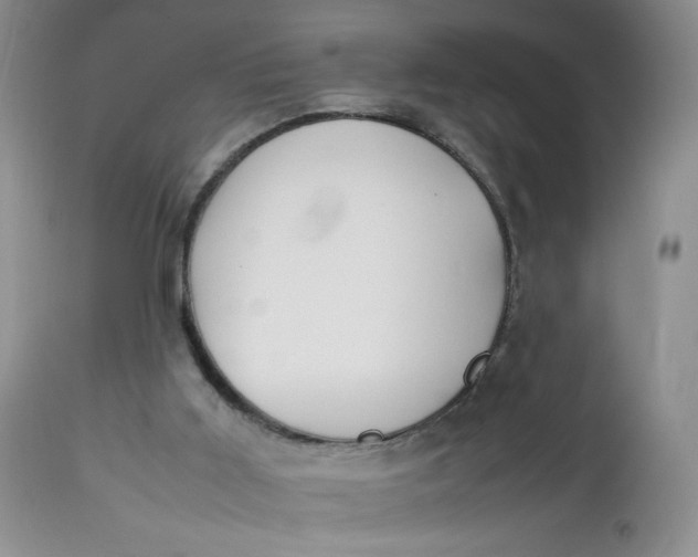 X0000112750011200909101551