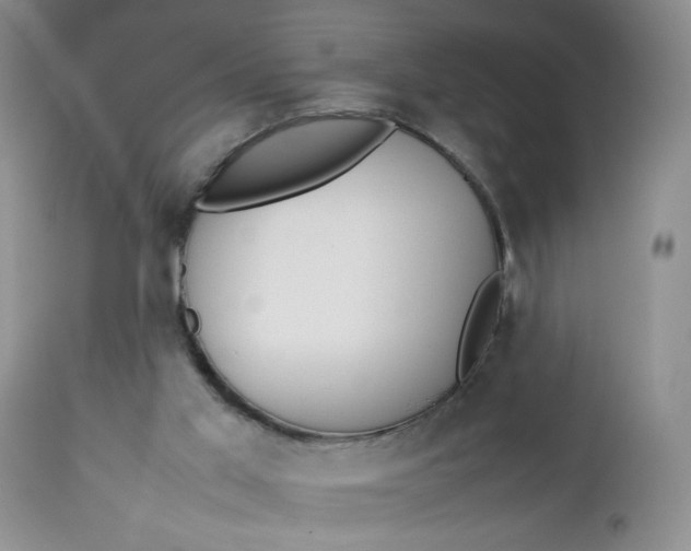 X0000112750013200909101551