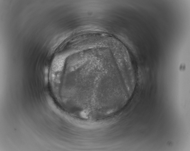 X0000112750014200909101551