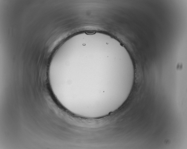 X0000112750015200909101551