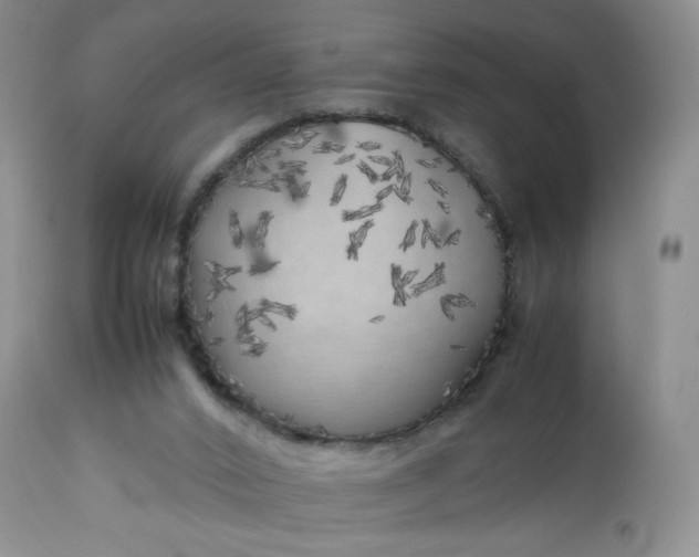 X0000112750016200909101551