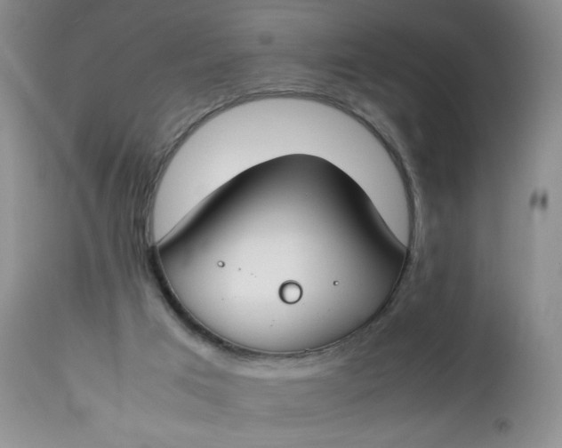 X0000112750017200909101551