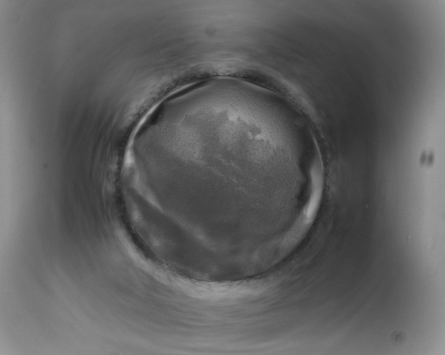 X0000112750018200909101551