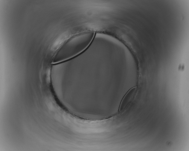 X0000112750019200909101551