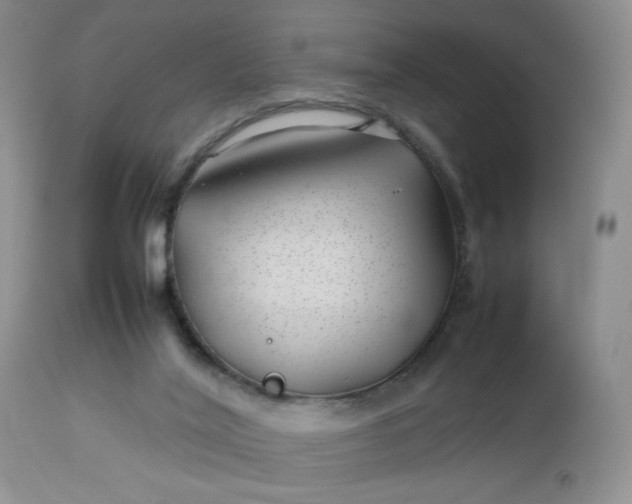 X0000112750020200909101551