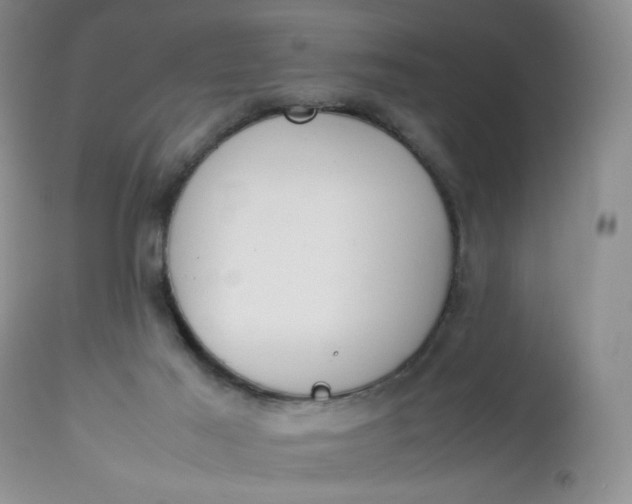 X0000112750021200909101551