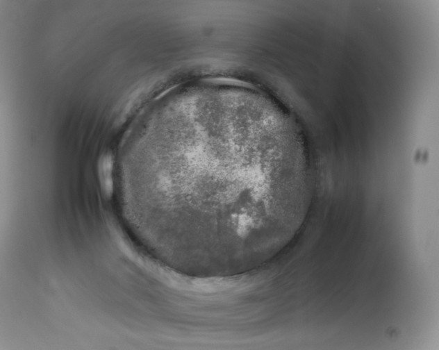 X0000112750022200909101551