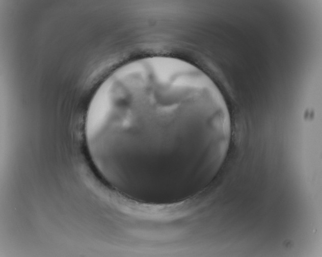 X0000112750023200909101551