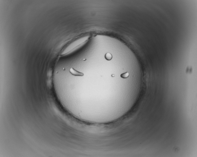 X0000112750024200909101551