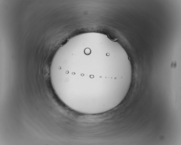 X0000112750025200909101551