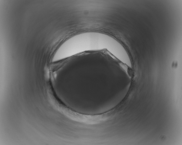 X0000112750027200909101551