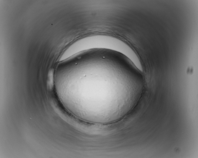 X0000112750028200909101551