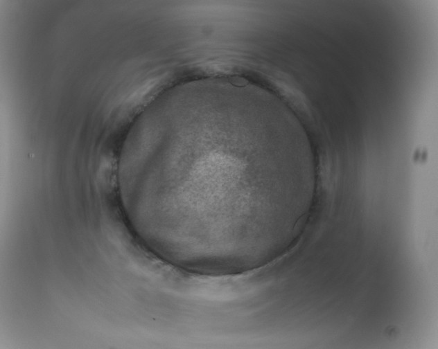 X0000112750029200909101551