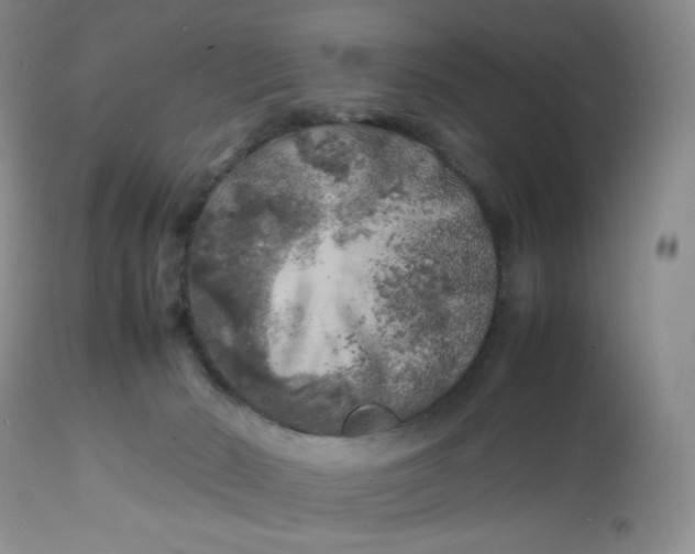 X0000112750030200909101551