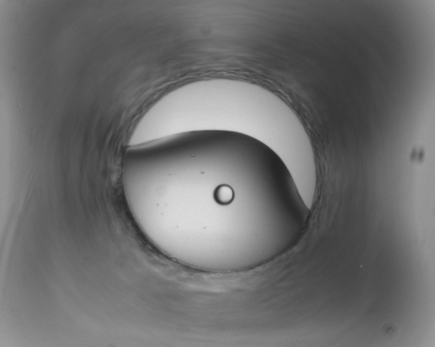 X0000112750033200909101551