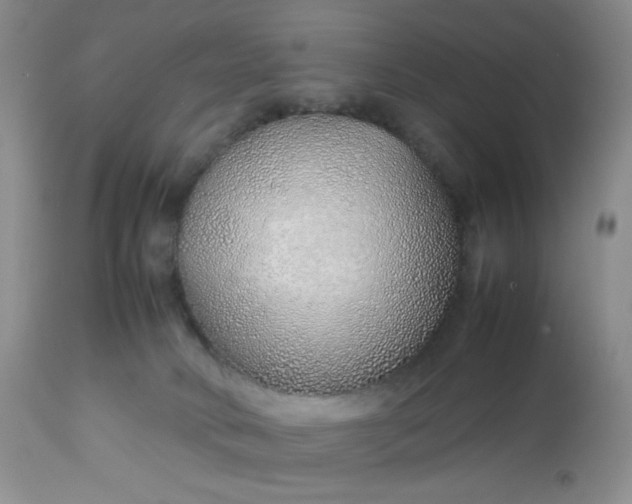 X0000112750034200909101551