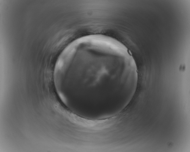 X0000112750035200909101551