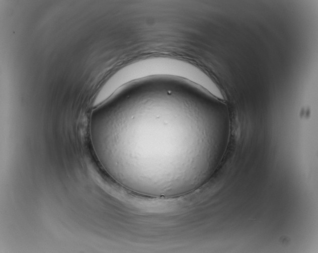 X0000112750036200909101551