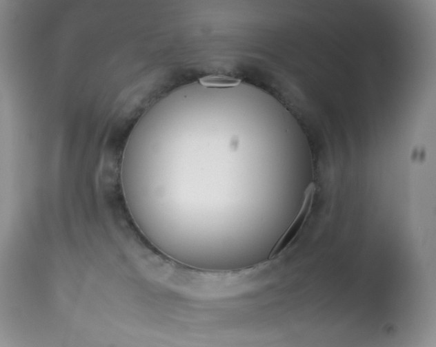 X0000112750037200909101551