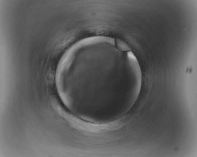 X0000112750039200909101551