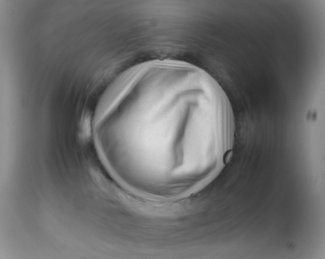 X0000112750042200909101551