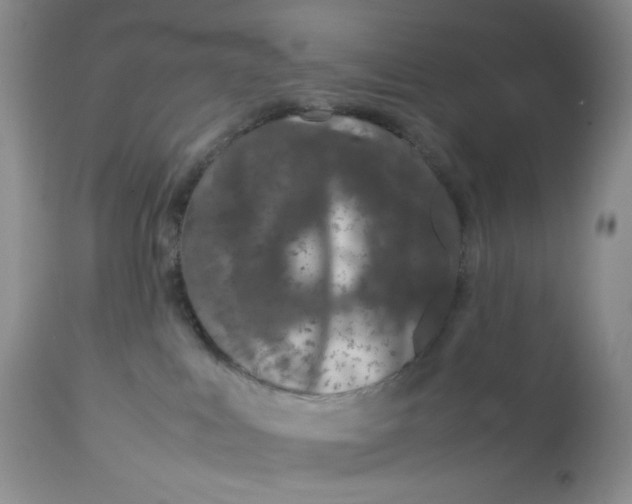 X0000112750043200909101550